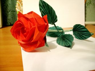 Como fazer rosas de papel com as próprias mãos: Instruções passo a passo para iniciantes (mais de 190 fotos)