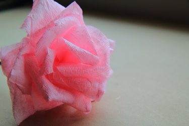 Como fazer rosas de papel com as próprias mãos: Instruções passo a passo para iniciantes (mais de 190 fotos)
