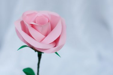 Como fazer rosas de papel com as próprias mãos: Instruções passo a passo para iniciantes (mais de 190 fotos)