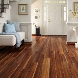 Um guia para os tipos de piso (mais de 140 fotos) que você mesmo pode fazer em uma residência particular