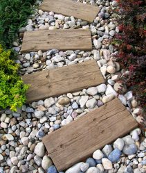 Como é bonito fazer caminhos de jardins com as próprias mãos a baixo custo? Mais de 180 fotos de opções suburbanas de diferentes materiais (telhas, plástico, borracha)