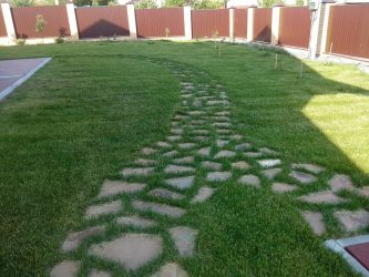 Como é bonito fazer caminhos de jardins com as próprias mãos a baixo custo? Mais de 180 fotos de opções suburbanas de diferentes materiais (telhas, plástico, borracha)