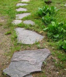 Como é bonito fazer caminhos de jardins com as próprias mãos a baixo custo? Mais de 180 fotos de opções suburbanas de diferentes materiais (telhas, plástico, borracha)