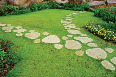 Como é bonito fazer caminhos de jardins com as próprias mãos a baixo custo? Mais de 180 fotos de opções suburbanas de diferentes materiais (telhas, plástico, borracha)