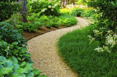 Como é bonito fazer caminhos de jardins com as próprias mãos a baixo custo? Mais de 180 fotos de opções suburbanas de diferentes materiais (telhas, plástico, borracha)