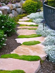 Como é bonito fazer caminhos de jardins com as próprias mãos a baixo custo? Mais de 180 fotos de opções suburbanas de diferentes materiais (telhas, plástico, borracha)