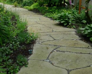 Como é bonito fazer caminhos de jardins com as próprias mãos a baixo custo? Mais de 180 fotos de opções suburbanas de diferentes materiais (telhas, plástico, borracha)