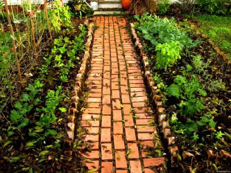 Como é bonito fazer caminhos de jardins com as próprias mãos a baixo custo? Mais de 180 fotos de opções suburbanas de diferentes materiais (telhas, plástico, borracha)