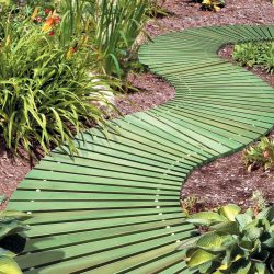 Como é bonito fazer caminhos de jardins com as próprias mãos a baixo custo? Mais de 180 fotos de opções suburbanas de diferentes materiais (telhas, plástico, borracha)