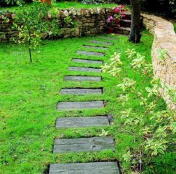 Como é bonito fazer caminhos de jardins com as próprias mãos a baixo custo? Mais de 180 fotos de opções suburbanas de diferentes materiais (telhas, plástico, borracha)