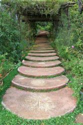 Como é bonito fazer caminhos de jardins com as próprias mãos a baixo custo? Mais de 180 fotos de opções suburbanas de diferentes materiais (telhas, plástico, borracha)
