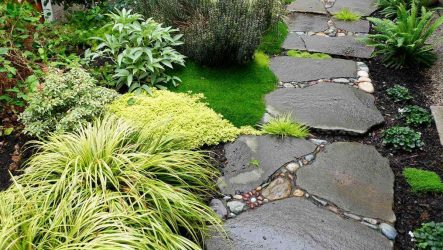 Como é bonito fazer caminhos de jardins com as próprias mãos a baixo custo? Mais de 180 fotos de opções suburbanas de diferentes materiais (telhas, plástico, borracha)