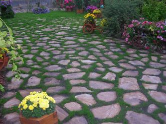 Como é bonito fazer caminhos de jardins com as próprias mãos a baixo custo? Mais de 180 fotos de opções suburbanas de diferentes materiais (telhas, plástico, borracha)