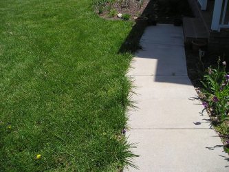 Como é bonito fazer caminhos de jardins com as próprias mãos a baixo custo? Mais de 180 fotos de opções suburbanas de diferentes materiais (telhas, plástico, borracha)