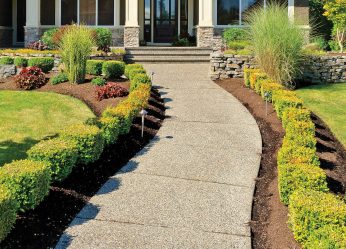 Como é bonito fazer caminhos de jardins com as próprias mãos a baixo custo? Mais de 180 fotos de opções suburbanas de diferentes materiais (telhas, plástico, borracha)