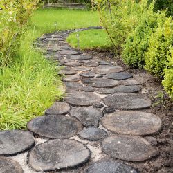 Como é bonito fazer caminhos de jardins com as próprias mãos a baixo custo? Mais de 180 fotos de opções suburbanas de diferentes materiais (telhas, plástico, borracha)
