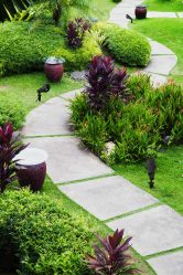 Como é bonito fazer caminhos de jardins com as próprias mãos a baixo custo? Mais de 180 fotos de opções suburbanas de diferentes materiais (telhas, plástico, borracha)