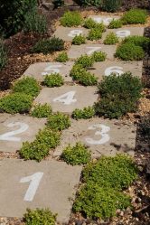Como é bonito fazer caminhos de jardins com as próprias mãos a baixo custo? Mais de 180 fotos de opções suburbanas de diferentes materiais (telhas, plástico, borracha)