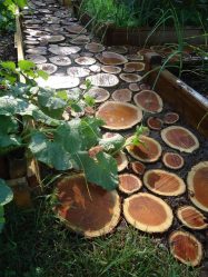 Como é bonito fazer caminhos de jardins com as próprias mãos a baixo custo? Mais de 180 fotos de opções suburbanas de diferentes materiais (telhas, plástico, borracha)
