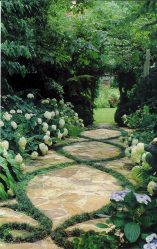 Como é bonito fazer caminhos de jardins com as próprias mãos a baixo custo? Mais de 180 fotos de opções suburbanas de diferentes materiais (telhas, plástico, borracha)