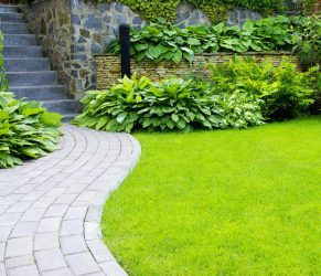 Como é bonito fazer caminhos de jardins com as próprias mãos a baixo custo? Mais de 180 fotos de opções suburbanas de diferentes materiais (telhas, plástico, borracha)