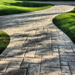 Como é bonito fazer caminhos de jardins com as próprias mãos a baixo custo? Mais de 180 fotos de opções suburbanas de diferentes materiais (telhas, plástico, borracha)
