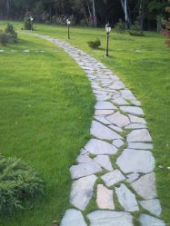 Como é bonito fazer caminhos de jardins com as próprias mãos a baixo custo? Mais de 180 fotos de opções suburbanas de diferentes materiais (telhas, plástico, borracha)