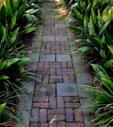 Como é bonito fazer caminhos de jardins com as próprias mãos a baixo custo? Mais de 180 fotos de opções suburbanas de diferentes materiais (telhas, plástico, borracha)