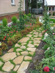 Como é bonito fazer caminhos de jardins com as próprias mãos a baixo custo? Mais de 180 fotos de opções suburbanas de diferentes materiais (telhas, plástico, borracha)