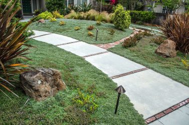 Como é bonito fazer caminhos de jardins com as próprias mãos a baixo custo? Mais de 180 fotos de opções suburbanas de diferentes materiais (telhas, plástico, borracha)
