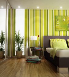 A combinação de cor verde clara em modernos interiores modernos: 185+ (Foto) Design para a cozinha, sala de estar, quarto