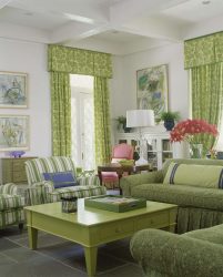 A combinação de cor verde clara em modernos interiores modernos: 185+ (Foto) Design para a cozinha, sala de estar, quarto