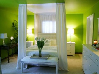 A combinação de cor verde clara em modernos interiores modernos: 185+ (Foto) Design para a cozinha, sala de estar, quarto