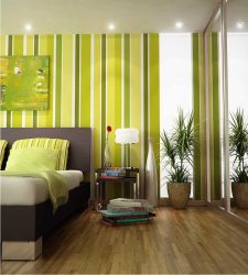 A combinação de cor verde clara em modernos interiores modernos: 185+ (Foto) Design para a cozinha, sala de estar, quarto