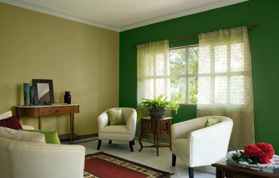 A combinação de cor verde clara em modernos interiores modernos: 185+ (Foto) Design para a cozinha, sala de estar, quarto