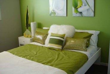 A combinação de cor verde clara em modernos interiores modernos: 185+ (Foto) Design para a cozinha, sala de estar, quarto