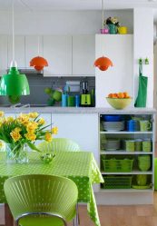 A combinação de cor verde clara em modernos interiores modernos: 185+ (Foto) Design para a cozinha, sala de estar, quarto
