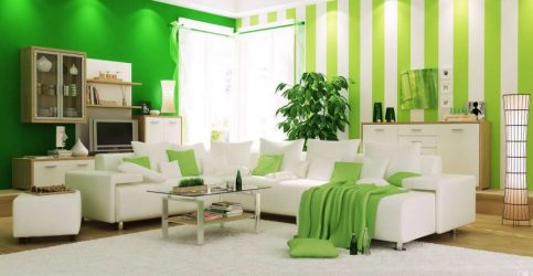 A combinação de cor verde clara em modernos interiores modernos: 185+ (Foto) Design para a cozinha, sala de estar, quarto