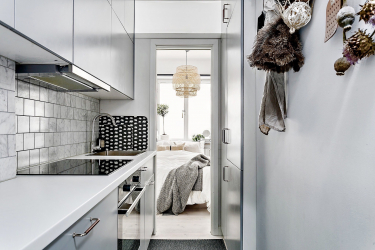 Cozinha cinza: 50 tons de variações interiores. 250+ combinações (foto) no design