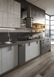 Cozinha cinza: 50 tons de variações interiores. 250+ combinações (foto) no design
