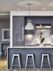 Cozinha cinza: 50 tons de variações interiores. 250+ combinações (foto) no design