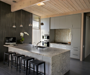 Cozinha cinza: 50 tons de variações interiores. 250+ combinações (foto) no design