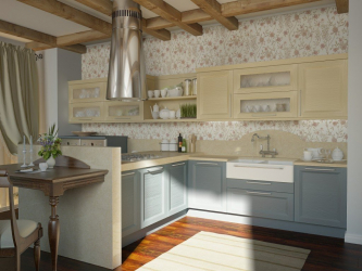 Cozinha cinza: 50 tons de variações interiores. 250+ combinações (foto) no design