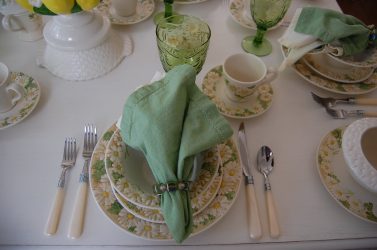 Tecnologia de serviço de mesa para o almoço - Cuidar dos entes queridos (mais de 225 fotos)