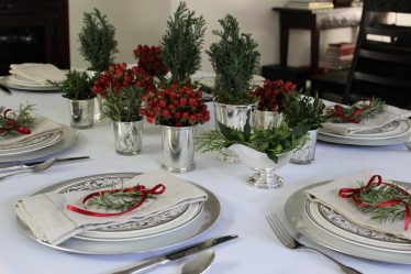 Tecnologia de serviço de mesa para o almoço - Cuidar dos entes queridos (mais de 225 fotos)