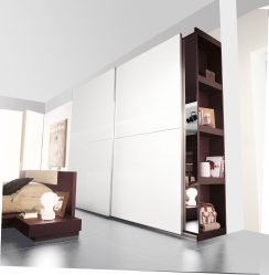 Guarda-roupa no quarto: encontre o guarda-roupa dos seus sonhos. Os modelos mais relevantes e práticos
