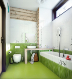 Small bathroom combined with toilet (50+ Photos): 12 methods of unique space correction