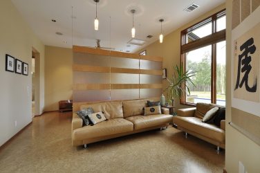 Maneiras de salas de zoneamento para o quarto e sala de estar: 195+ Photo Best Design Ideas with examples