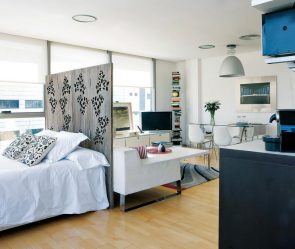 Maneiras de salas de zoneamento para o quarto e sala de estar: 195+ Photo Best Design Ideas with examples