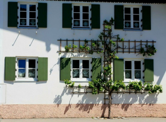 Exemplos de sucesso da transformação da fachada da casa com a ajuda de persianas para janelas (madeira, metal, plástico). Tornar simples e bonito (+ Avaliações)